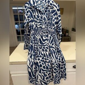 Blue and White Printed Women's Dress